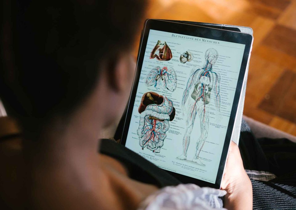 tips memilih media pembelajaran